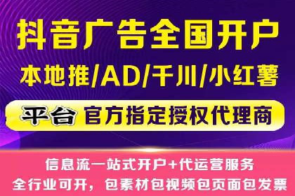 SEM代运营案例分析：精准投放策略解析